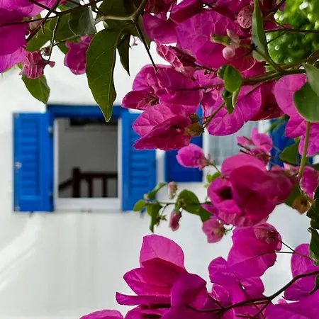 Panormos Escape Dreamy Coastal